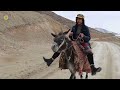 👧 🐎 village girl riding a donkey collecting firewood for rustic cooking episode 0056