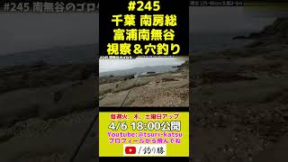 ＜予告編＞EP.245【千葉内房穴釣り】爆釣だ！(初)富浦の南無谷にある磯場/ゴロタ #shorts