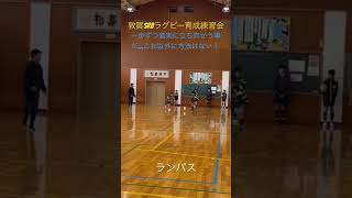 『ランパス』【敦賀SRBラグビー育成練習会】（2023.11.26） #敦賀srb #中学生ラグビー #ミニラグビー #ラグビー育成練習会  #敦賀市