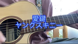 愛鍵/ヤングスキニー(弾き語りカバー)