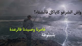 تحليقة بطعم بيلوطة العجيبة فأجواء ممطرة: تحدٍ ناجح! 🎣