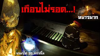 camping กลางป่าริมน้ำ 3 วัน 2 คืน | ตอน 8 เกือบไม่รอด..!!! ยามโตง 2โมงเช้าหนาวมาก ประมาณ 10 องศา