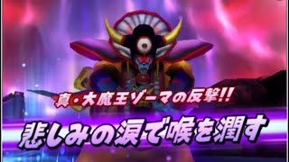 【星ドラ】真・大魔王ゾーマ　大魔王級　死に戻り　1人装備要求低め