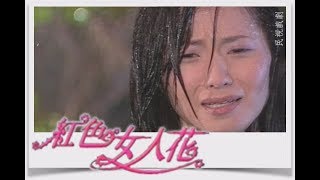 紅色女人花 EP6｜撕愛(上)