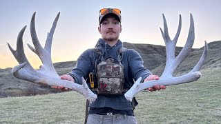 Shed Hunting 2024! “Giant Sets!” (200” Mule Deer Set & Moose Set!)