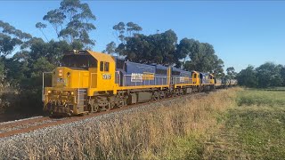 9153 Pacific National grain with XR551 XR552 XR555 from Geelong heading towards Ballarat 8/1/2023