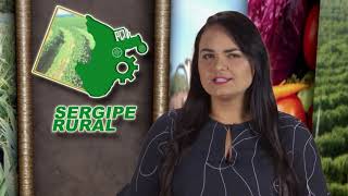 Sergipe Rural - PROGRAMA 234