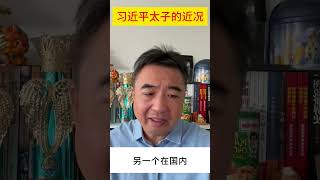 翟山鹰：习近平太子的近况 #翟山鹰 #习近平#习近平接班人