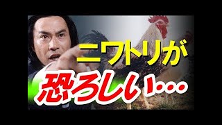 【武田鉄矢】『人生が変わる！無意識の整え方』完全版！意識は無意識の決定を記憶する装置にすぎない【武田鉄矢チャンネル】