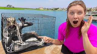 Pond Monster Officially CAPTURED (Top Secret Mission Accomplished)
