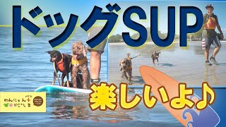 【わんにゃんプラスかごしま　8月24日】＃441「幸せの波に乗ってます♪」