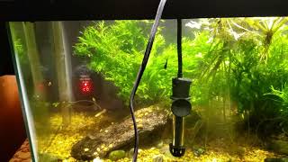 New Digital Display Quartz Heater In My Office Tank