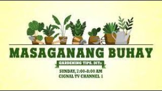 MASAGANANG BUHAY | DECEMBER 29, 2024