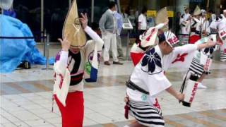 江戸っ子連(1) ～2009.5.6 新東京三大祭り＠olinas in 錦糸町～