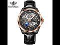 OUPINKE 3268 Men's Luxury Automatic Skeleton Design Luminous Wristwatch