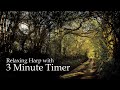 3 Minute Timer for Reiki and Yin Yoga with Peaceful Harp and Cello Music