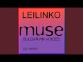 Leilinko (2021 Remix)