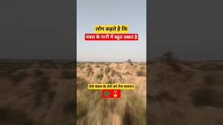 ऐसे चंबल के शेरों को मेरा सलाम, चंबल के पानी में बहुत उबाल है😡 | Chambal ke sher | Chambal ka paani