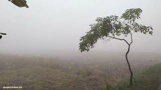 A trip to the village on a foggy morning ||কুয়াশাচ্ছন্ন ভোরবেলা