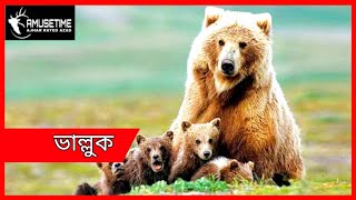 ভাল্লুক | Bear | Animal Documentary | Amusetime