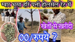 हरी पत्ती और ग्वार का भूसा सीधा खेतों से Hari Patti goat feed full information and price #goatfeed