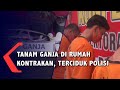 Tanam Ganja di Rumah Kontrakan,Terciduk Polisi