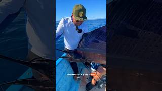 Massive Fish Catch and Fresh Sashimi Feast #shorts #fishing #fishingthrills