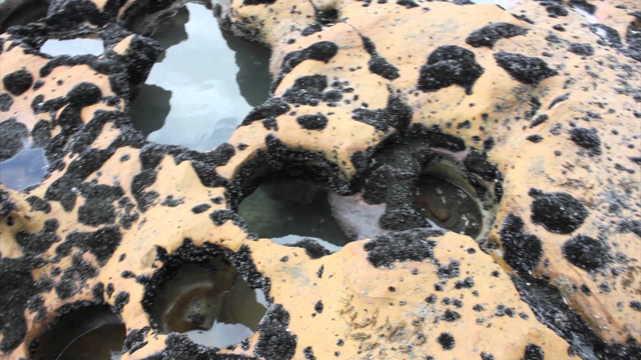 How Are Coastal Potholes Formed? - YouTube