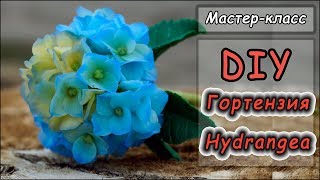 DIY ❤ Гортензия из полимерной глины  ❤ Мастер-класс по лепке  ❤ Polymer clay tutorial