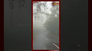 பனிமூட்டத்தால் சூழ்ந்துள்ள கோத்தகிரி | Shrouded In Fog | Kotagiri | Nilgiris District News