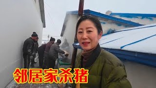 【农村杀猪真热闹合集】村里邻居杀猪，牟永双起早给烧水，孟孟和老妈在家对付饭，也挺好