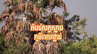 តំបន់សត្វស្លាបពងកូនភូមិវាលថ្លាន់