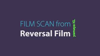 FILMSCAN FROM REVERSAL FILM