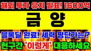 [금양 주가전망]🚨긴급속보🚨해외 투자 유치 발표! 1600억 규모! 자사주 블록딜! 2100억 확보! 받아간 세력 평단가는? 현구간 '이렇게' 대응하세요! 앞으로 중요합니다!