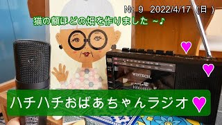 【ラジオ】ハチハチおばあちゃんラジオ📻畑作りのおはなし～♪