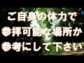 勝占神社　全国「事代主神社（えべっさんを祀る神社）」の元社