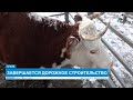 ЗАВЕРШАЕТСЯ ДОРОЖНОЕ СТРОИТЕЛЬСТВО