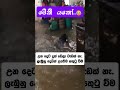 ජීවිතය විඳින්න ගංවතුරක් ඇති 😂😂 viralvideo love funneypicture foryourpage funnypics