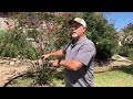 Sprinkler Repair And Installation Contractor In McKinney Shows Modifying Existing Irrigation System