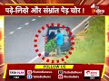 पढ़े लिखे और संभ्रांत पेड़ चोर एक्सप्रेस वे से पेड़ चुराते cctv में हुए कैद jaipur news