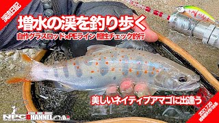 【渓流日記】釣行日記: 増水の渓で自作ロッドのライン相性チェック【FISHING×MUSIC】