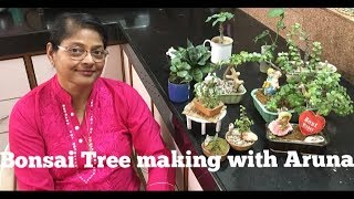 BONSAI TREE making for Beginners at Home, Jade Plant, indoor plant decoration in HINDI eng subtitles BONSAI TREE making for Beginners at Home, Jade Plant, indoor plant decoration in HINDI eng subtitles