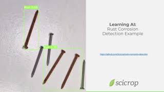AI Rust detection example