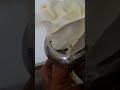 Make Whipped Cream Rose Flower Nozzle No R18 #short