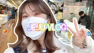 【韓国旅行】Hello Jeju | みかん狩りと東門市場でお魚食べまくり！