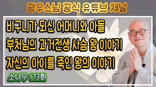 아주 묘하고 신기한 과거 전생 인연이야기 | 광우스님의 소나무 173회