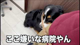 みんなで病院！