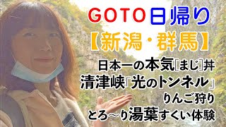 HIS【新潟・群馬】初めて一人で清津峡「光のトンネル」りんご狩り・とろ〜り湯葉すくい体験してみた