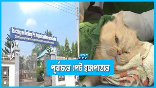 পূর্বাচলে নিভৃতে সেবা দিয়ে যাচ্ছে পেট হাসপাতাল || ETV News