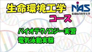 長崎総合科学大学　総合情報学部総合情報学科　生命環境工学コースの授業風景